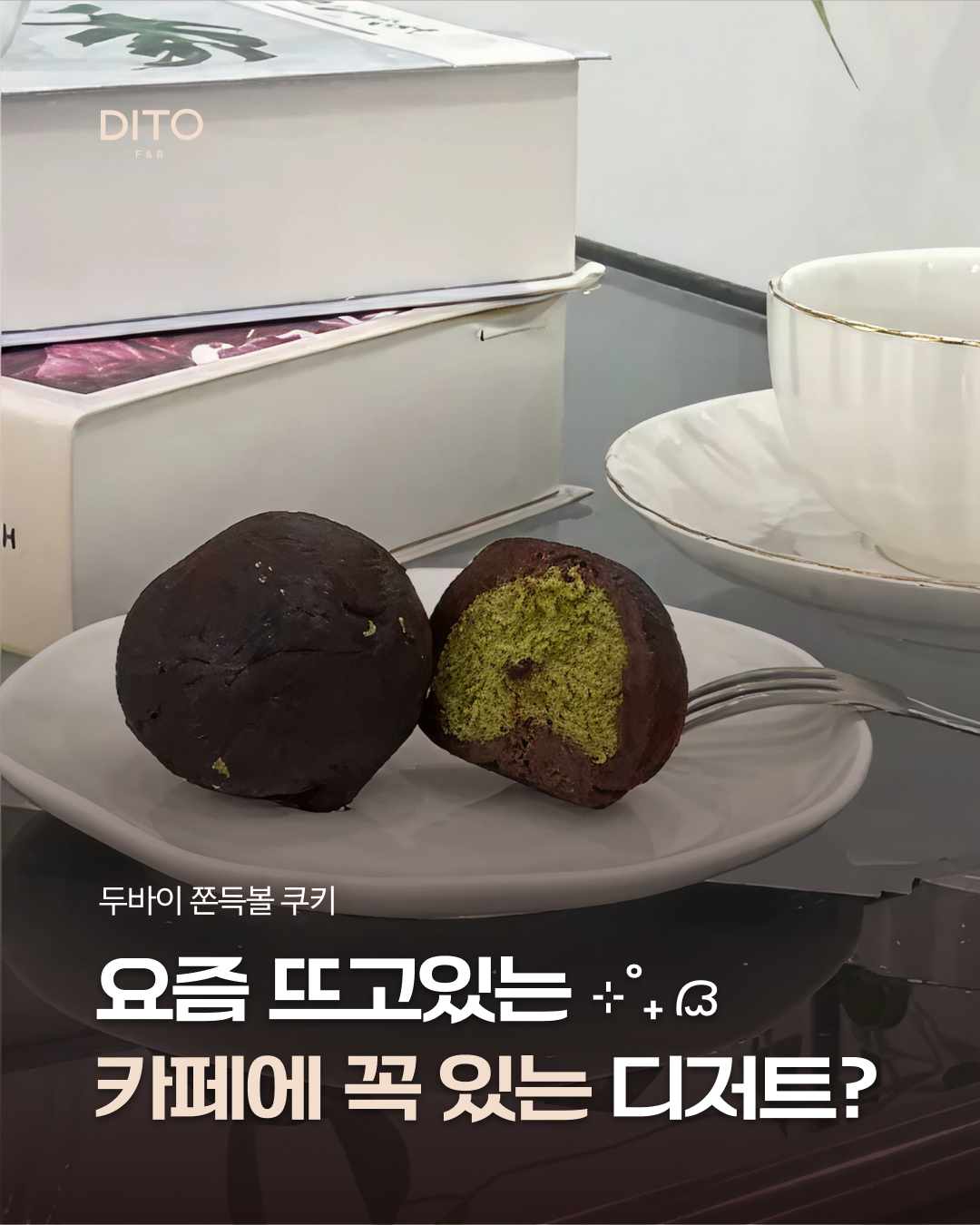 초코텍 & 디토 3