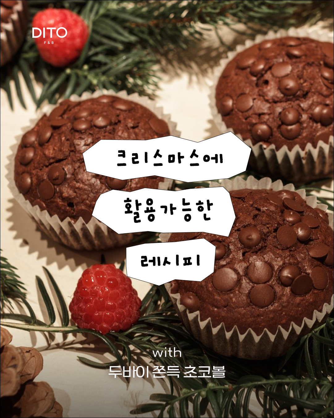 초코텍 & 디토 5
