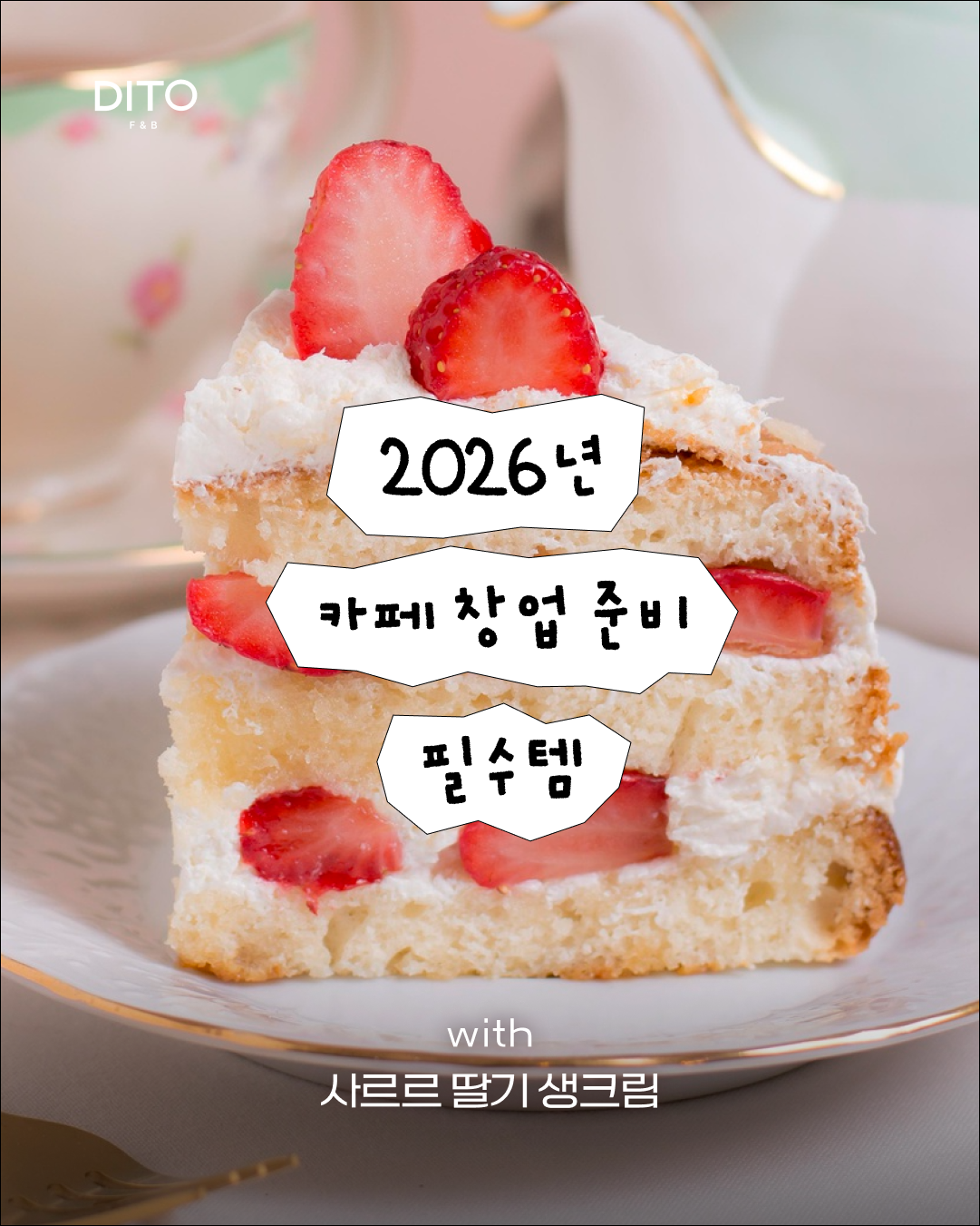 초코텍 & 디토 6