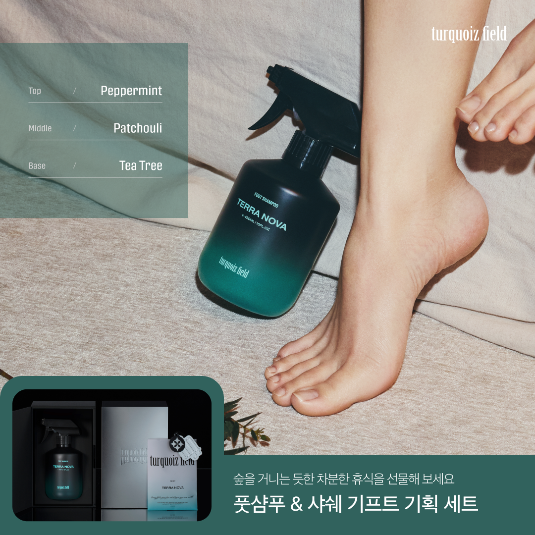 터콰이즈 필드 5