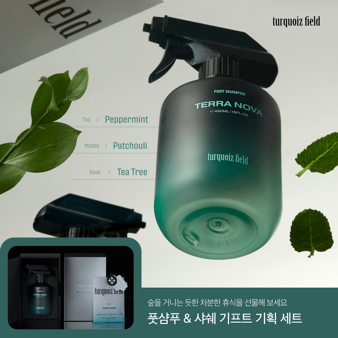 터콰이즈 필드 6