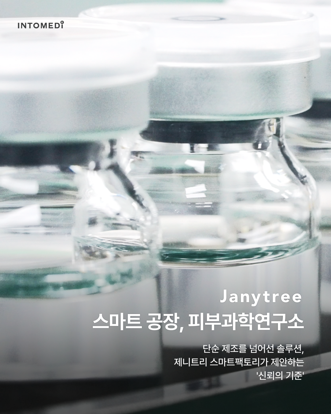 제니트리 7